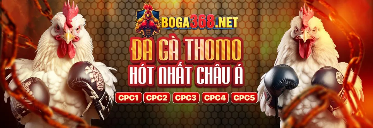 Hình ảnh chính Tin tức vn100 xổ số
